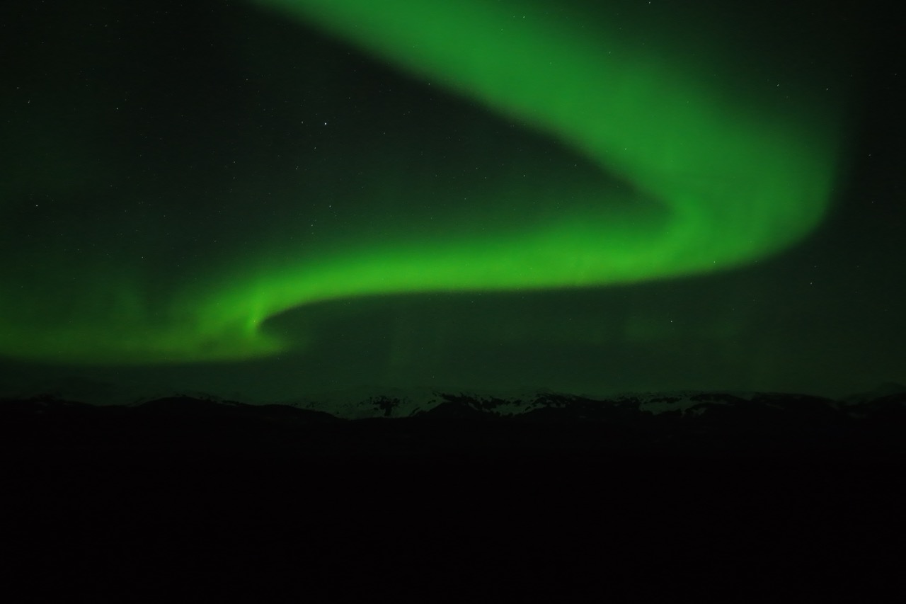 Aurora borealis over the Fairweather Range, Gustavus Alaska